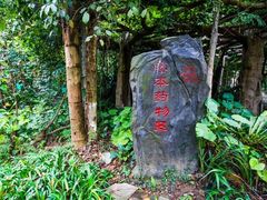 -广西壮族自治区药用植物园