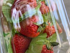 -百果园PAGODA(爱华市场店)