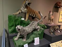 -天津自然博物馆