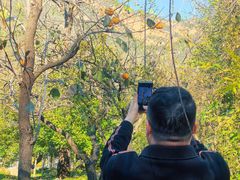 -碓臼峪自然风景区