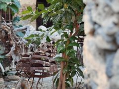 -三亚西岛海洋文化旅游区