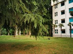 -河南省黄河迎宾馆