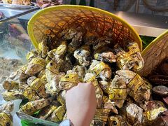 -鑫海汇海鲜烤肉自助(北国商城店)