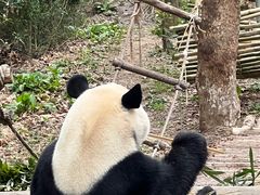 -黔灵山公园-南门售票处