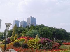 -文华公园(禅城区)