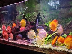 -上海海洋水族馆