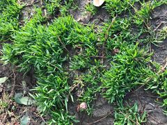 -环城公园-琥珀潭