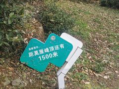 -雨花胜境