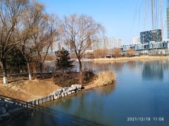 -大兴滨河森林公园