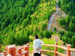 -北京凤凰岭
