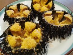 -海胆小馆(东北水饺·春柳店)