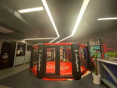 -金吉鸟健身游泳