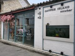 门面-喵屿·大理花园猫咖