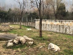 -西安秦岭野生动物园