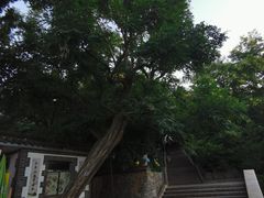 -烟台山景区