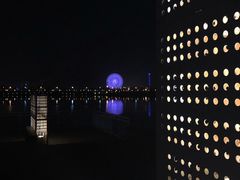 -灞河西岸滨河公园