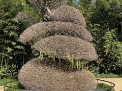 -苏州河梦清园环保主题公园