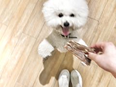 -Double Rui宠物酒店