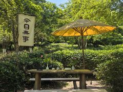 -天目湖山水园