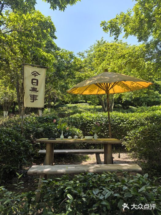 天目湖山水园图片
