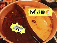 花胶鸡锅底-伊豆野菜村(大族广场店)
