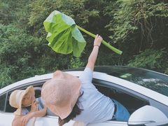 -铁山坪森林公园