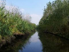 湿地公园-溱湖国家湿地公园