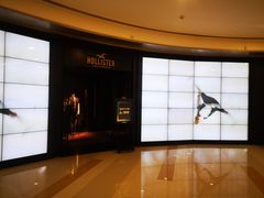 -Hollister Co(杭州万象城店)