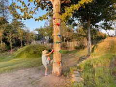 -前小桔亲子创意农场·草莓采摘·露营烧烤