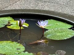 -南华禅寺