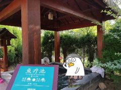-汤泊温泉度假村