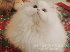 -乡亲鹅肉城(吴江店)