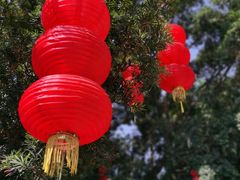 -东江渔村·古典园林·30年粤菜老字号(太和店)