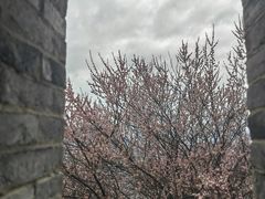 -台州府城(江南长城)