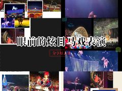 -广州长隆国际大马戏