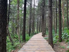 -白草畔自然风景区