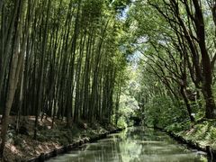 -同里国家湿地公园