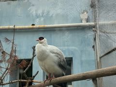 -青藏高原野生动物园