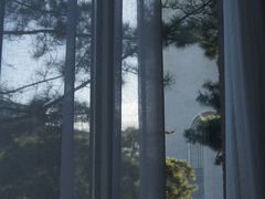-中国油画院咖啡馆