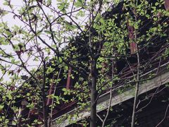 有个大院子-苏州文旅花间堂·探花府酒店