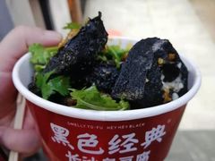 -黑色经典臭豆腐·湖南特产(坡子街店)