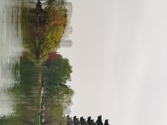 -洋湖国家湿地公园