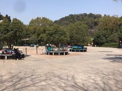 -杭州少年儿童公园