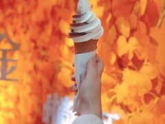 双球冰激凌-布歌东京(金融街购物中心店)