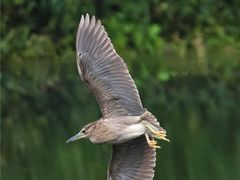 -重庆彩云湖湿地公园