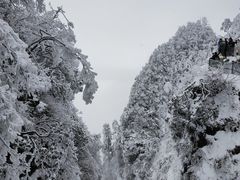 -峨眉山风景名胜区
