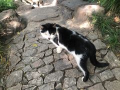 -秋霞圃