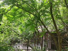 -Local泰莲庭(虹鳟鱼店)
