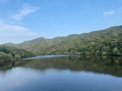 -北京西山国家森林公园