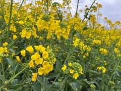 -中国天府农业博览园